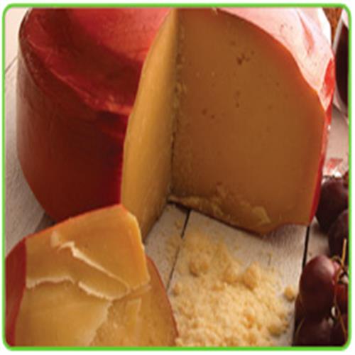 پنیر پارمسان کاله