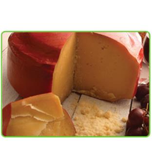 پنیر پارمسان کاله